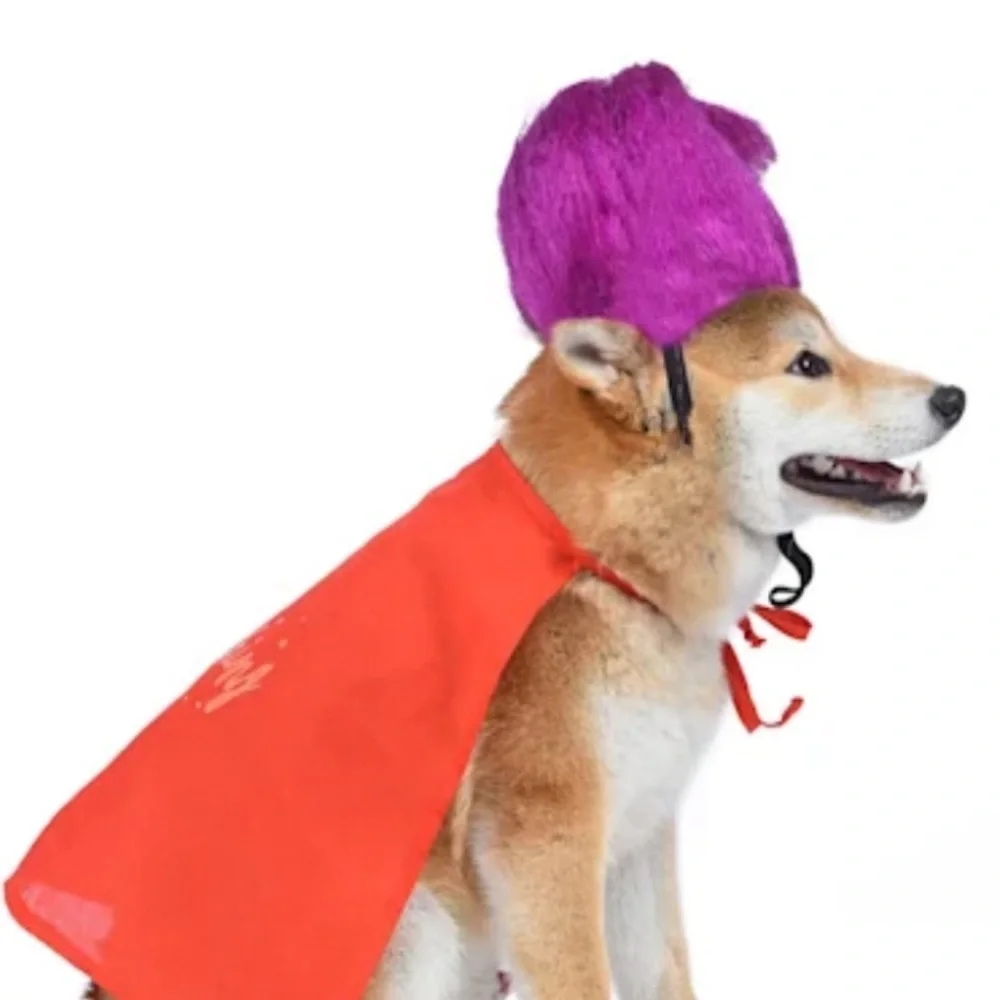 NWT Disney Mary Sanderson Dog Costume